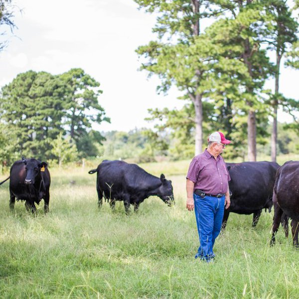 U.S. Beef Heads to China