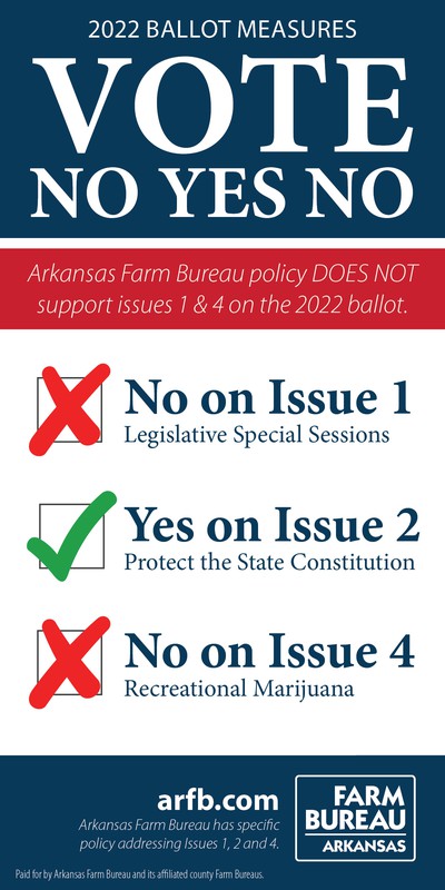 Image and link to Ballot Initiative PDF