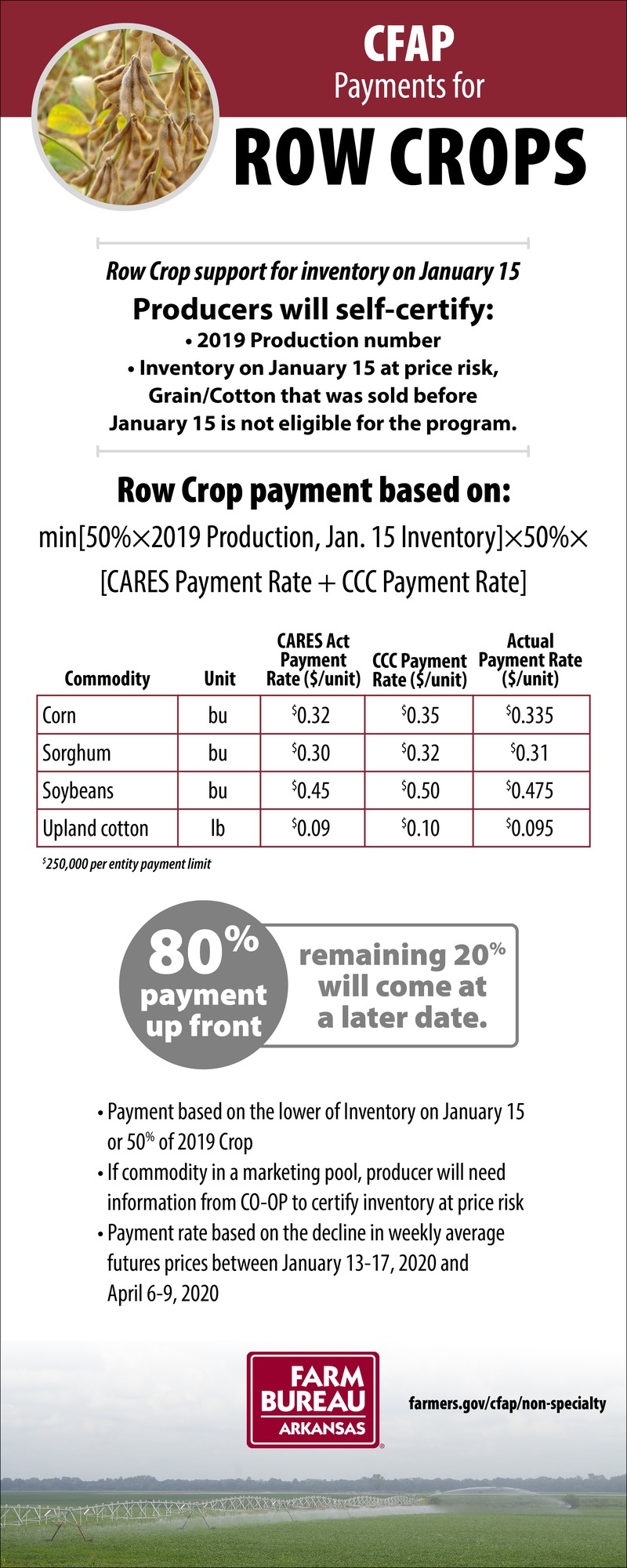 CFAP payments for row crops image