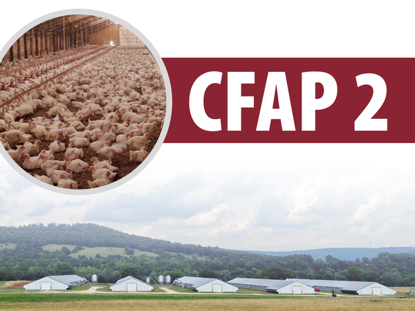 CFAP 2 Image