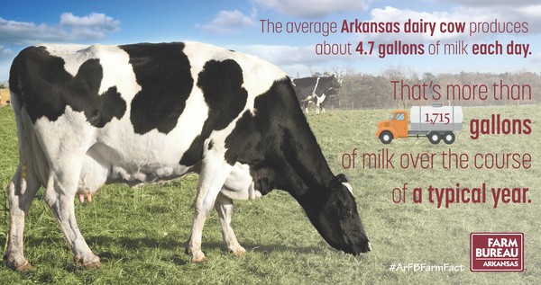 Arkansas Dairy Infographic image