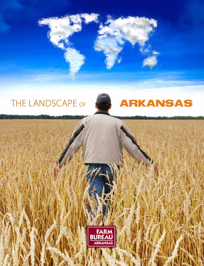 Landscape of Arkansas book image and link
