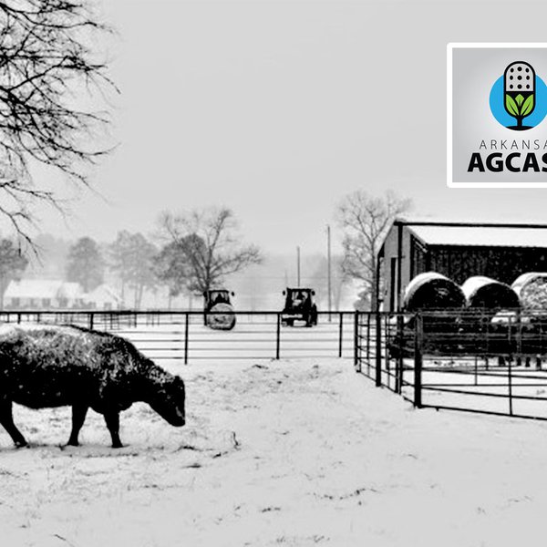 Arkansas AgCast | Feb. 18, 2021