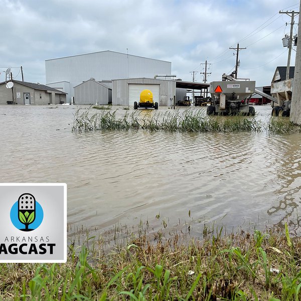 Arkansas AgCast | June 17, 2021