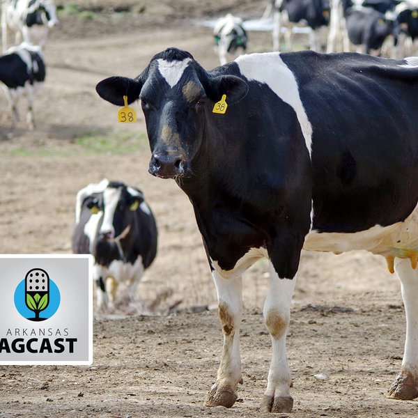 AgCast for June 25