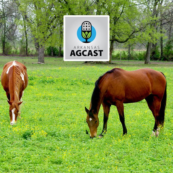 Arkansas AgCast | Sept. 2, 2021