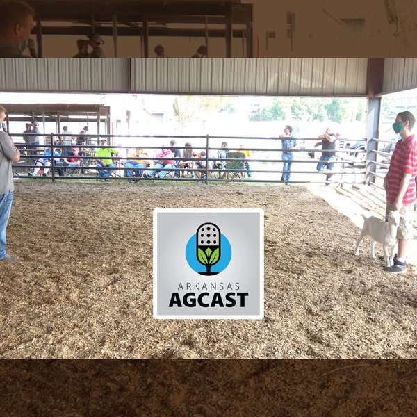 AgCast for Sept. 18