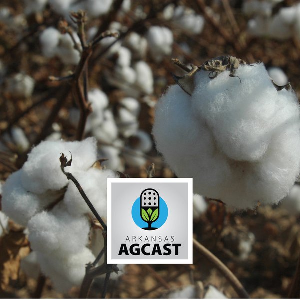 AgCast for July 30