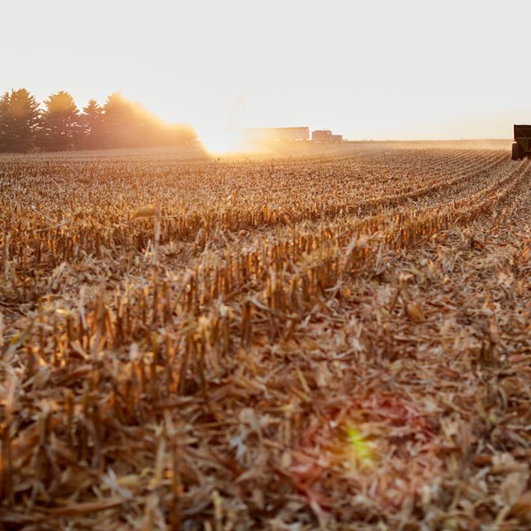Market Briefs | September 3, 2025