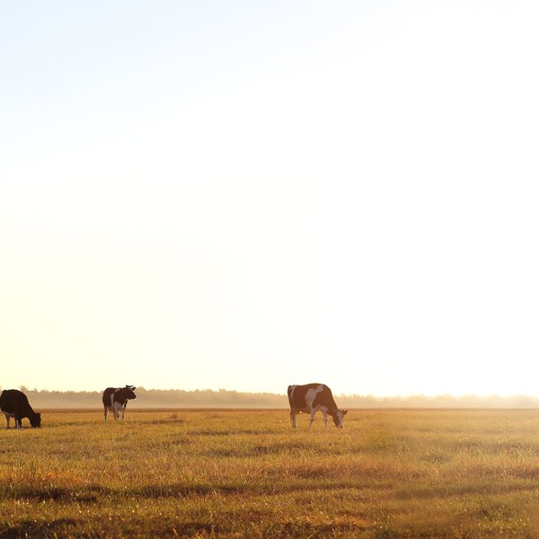 Market Briefs | March 4, 2026