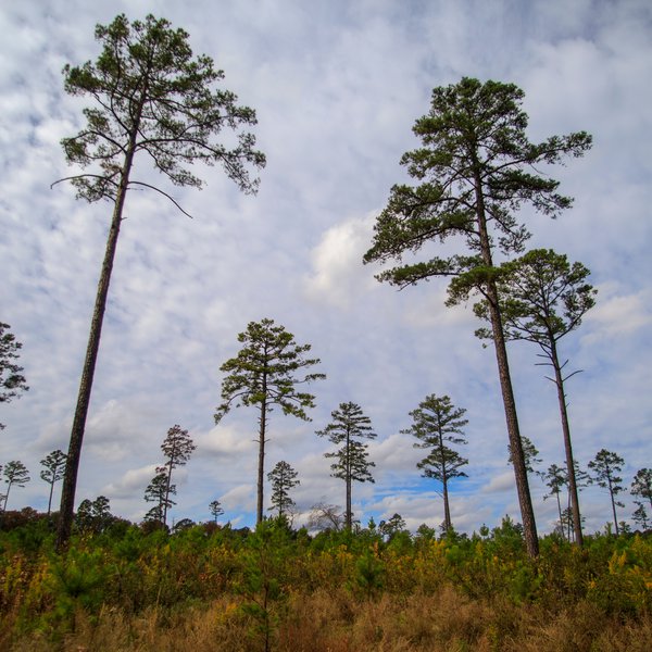 Market Briefs | February 20, 2026