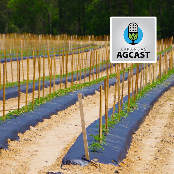 Arkansas AgCast | April 8, 2022