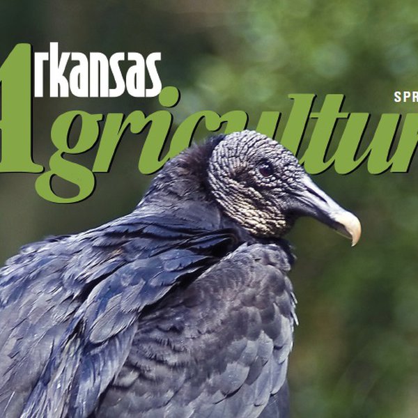 Arkansas Agriculture Magazine for Spring 2018