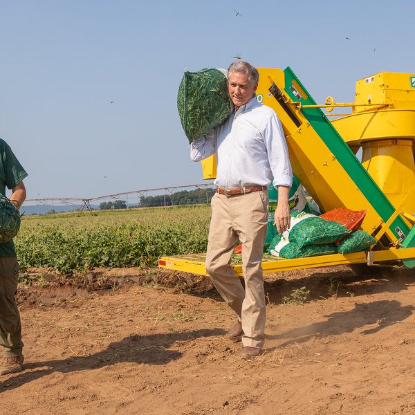 U.S. Congressman Works Pea Patch