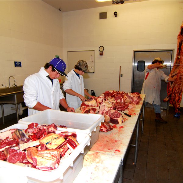 State Meat Inspection