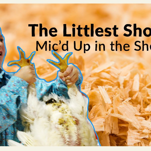 The Littlest Showman | Claire Walker