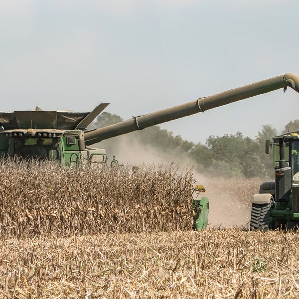 2023 Corn Harvest Update