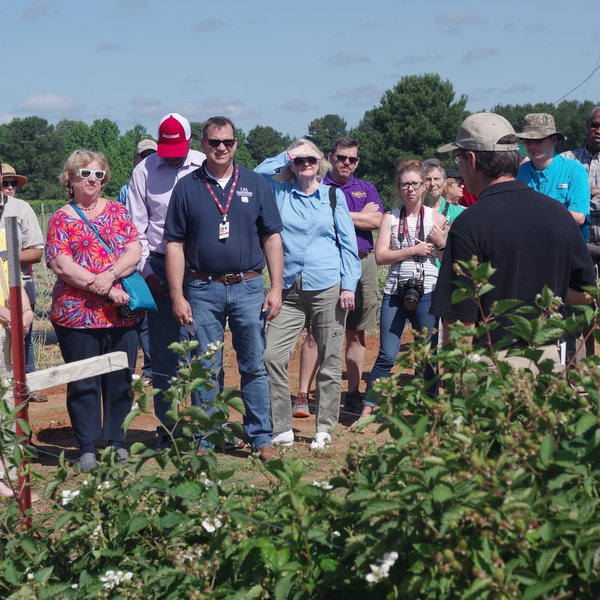 Horticulture Field Day Highlights