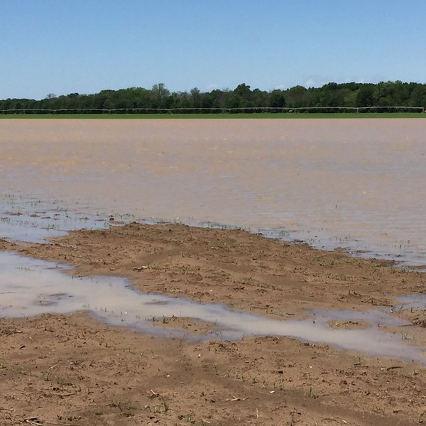 Spring Storms Flood Arkansas Farmland