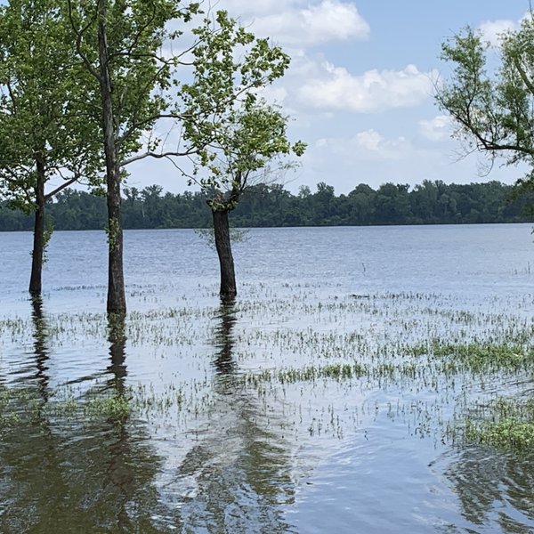 AgCast: Army Corps on Arkansas River Flooding