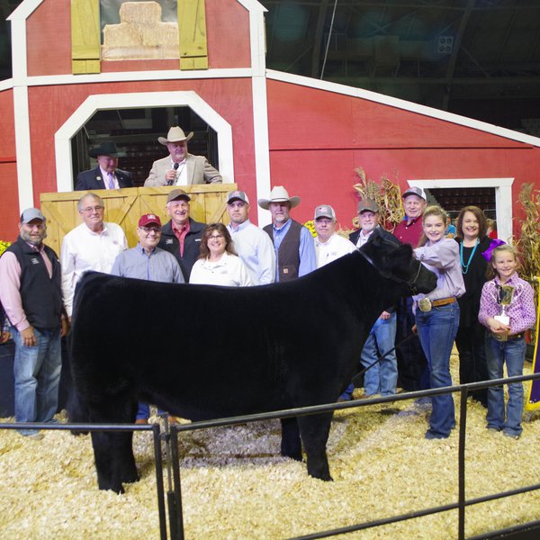 State Fair Junior Livestock Auction