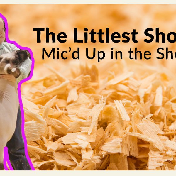 The Littlest Showman | Lexi Grace Bearden