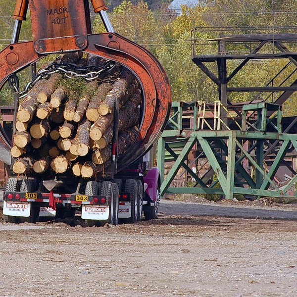Arkansas Timber Production