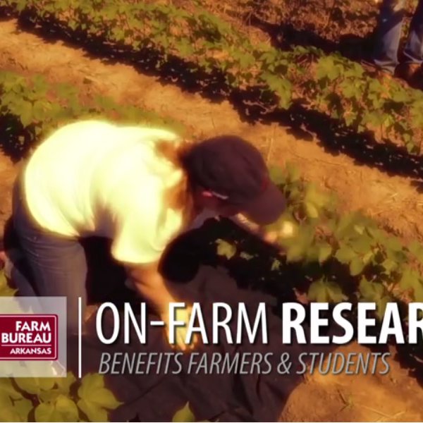 On-Farm Research