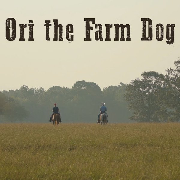 Ori the Farm Dog