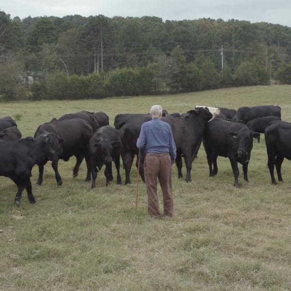 A Full Farming Life