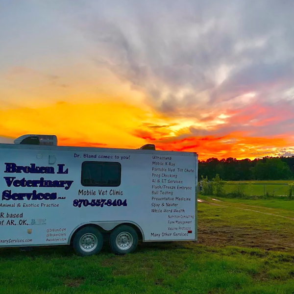 A Day in the Life of a Mobile Veterinarian