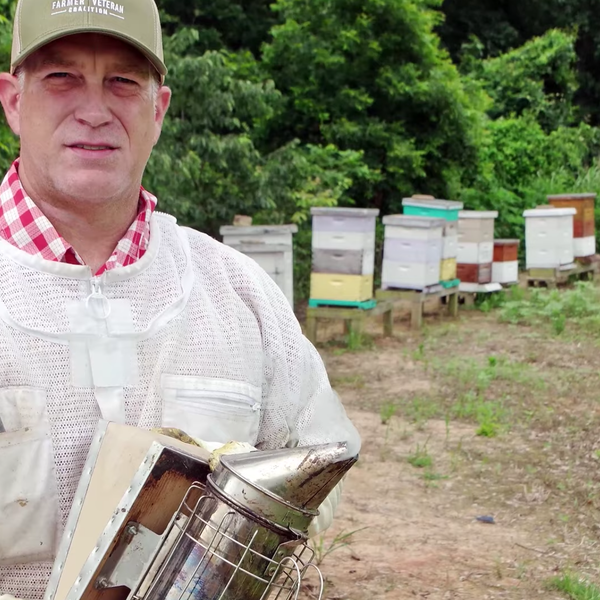 Farmer Veteran Coalition Leader On Beekeeping