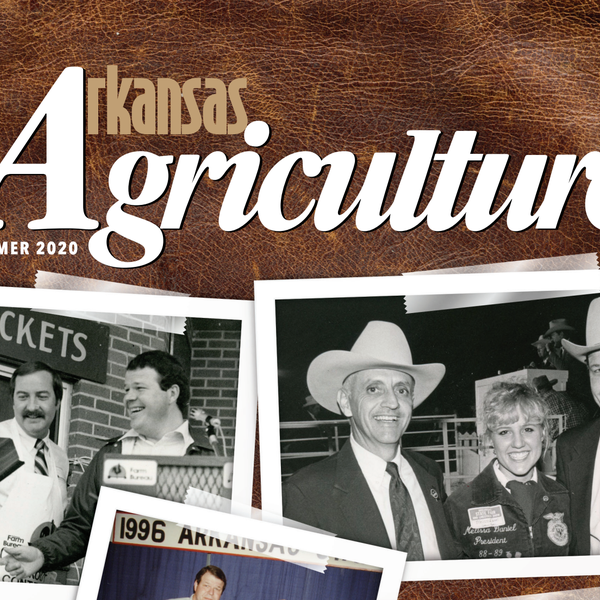 Arkansas Agriculture Summer 2020 Issue