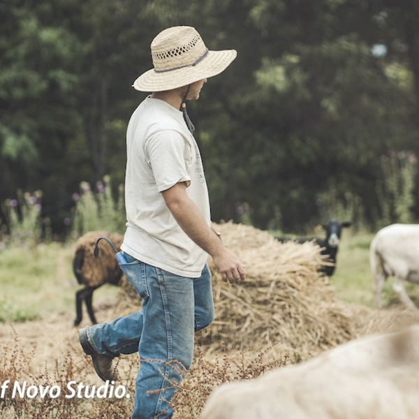 Farm Apprenticeship Program | Frank Ostapowicz