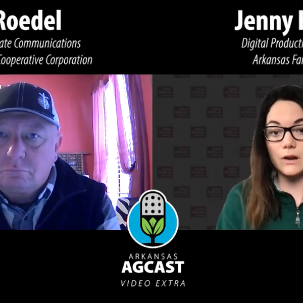 AgCast Video Extra | Rob Roedel, Electric Cooperatives of Arkansas