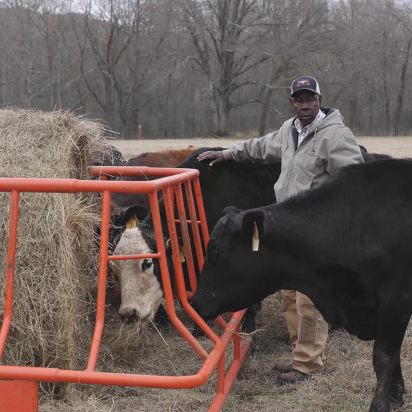 Farmer Profile | Fred Nickerson, Pulaski County