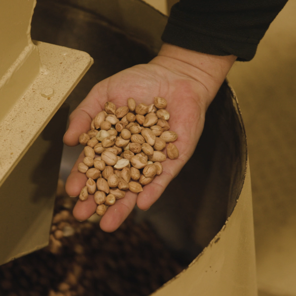 Delta Peanut Shelling Facility