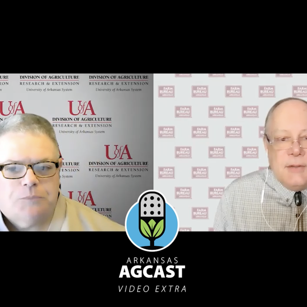 AgCast Video Extra | Mike Daniels, Soil & Water Conservation Specialist, UAEX