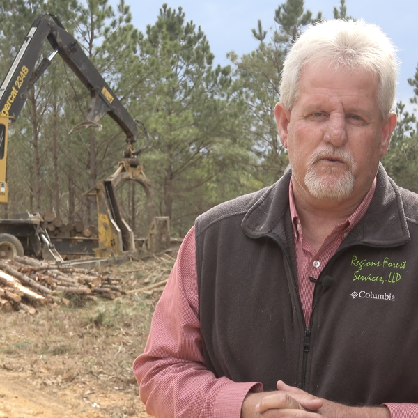 Arkansas Forestry Update | Grant Pace, ArFB Forestry Division Chair