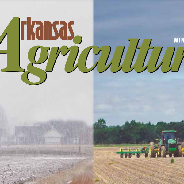 Arkansas Agriculture | Winter 2021
