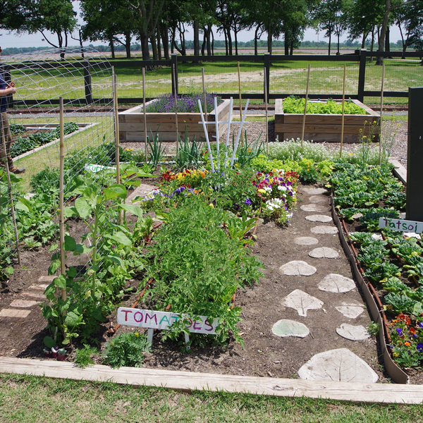 Farm Bureau Awards Outdoor Garden Mini-Grants