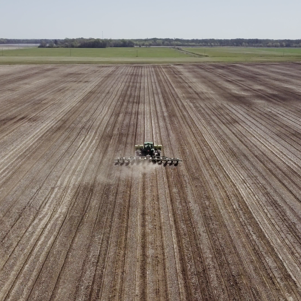 Farmer Update | Adam Chappell, Woodruff County