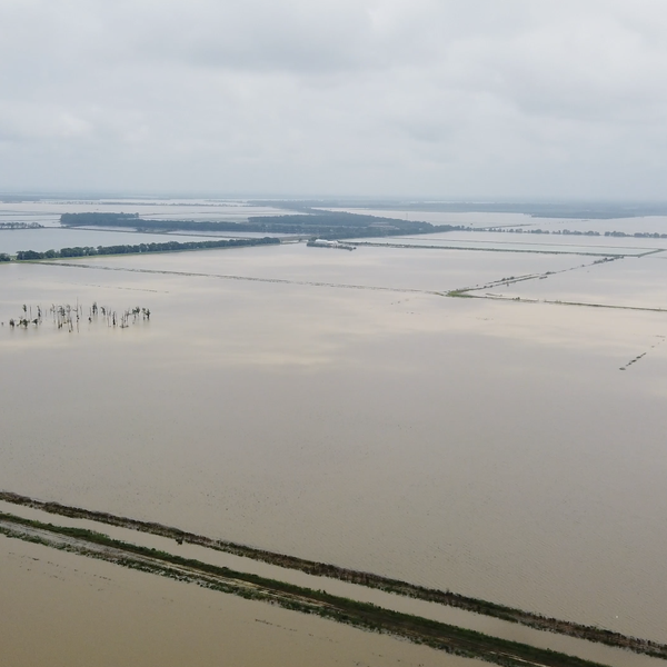 Visiting the Flood Zone