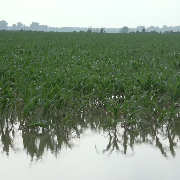 Farm Bureau Releases Initial Flood Impact Report