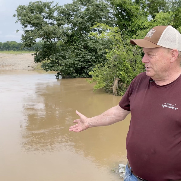 Flooding Update - Aquaculture | Mike Freeze, Keo