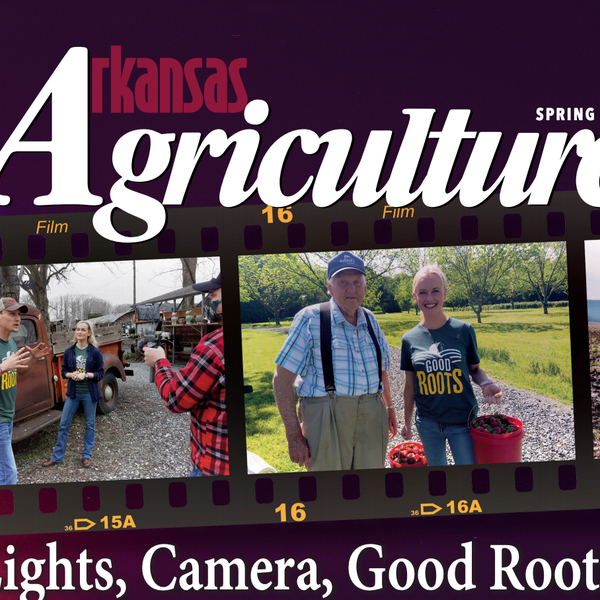 Arkansas Agriculture | Spring 2021