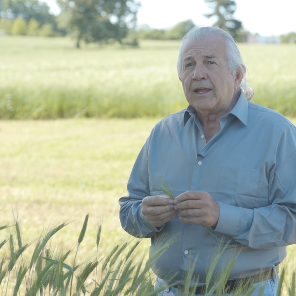 Silage Production | Field to Feed Trough