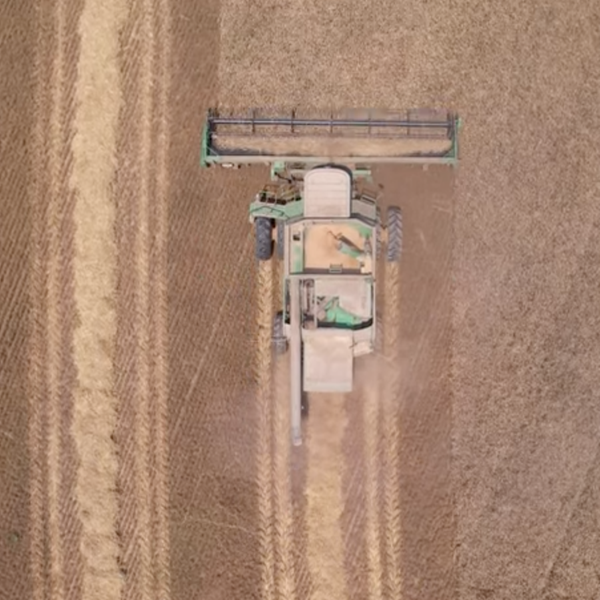 Farmer Update | Chris Schaefers Talks Wheat