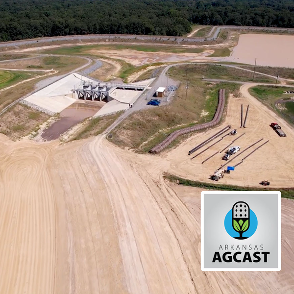 Arkansas AgCast | August 26, 2021