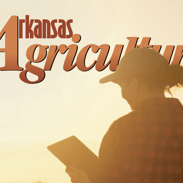Arkansas Agriculture | Summer 2021